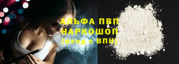 индика Горно-Алтайск