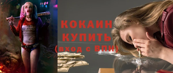 ECSTASY Гусь-Хрустальный