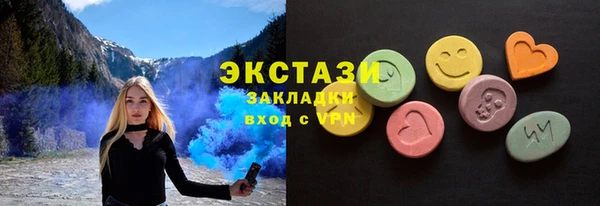 индика Горно-Алтайск