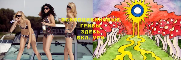индика Горно-Алтайск