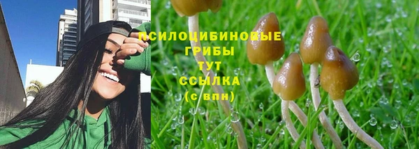 гидропоника Приозерск