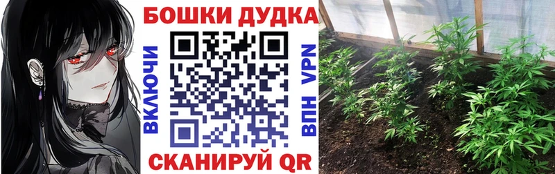 Бошки марихуана ГИДРОПОН  купить наркоту  Сретенск 